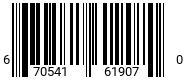 670541619070