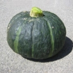 Kabocha